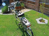 Gazelle E-Bike 28 8 Gangschaltung und Gold Akku - Lünne