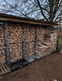 Brennholz Buche Trocken - Kall