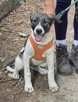 Kinderliebe fröhliche GERI sucht ♥️ - München