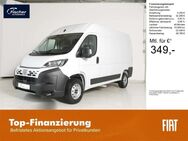 Fiat Ducato, 120 MJT L2H2 Kastenwagen, Jahr 2024 - Pilsach