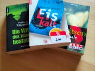 Romane und Bücher - Frankenblick