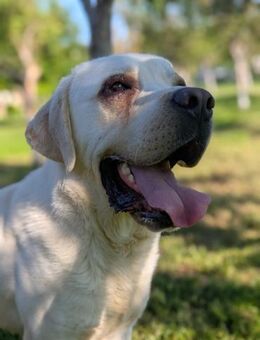 Jurki wasserliebend & lebensfroh - Müglitztal