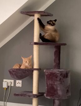 Bella und Krümel - Rees