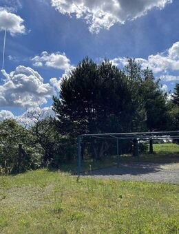 Nähe Torgau...Schicke 3-Raum-Wohnung in Arzberg! - Arzberg (Sachsen)