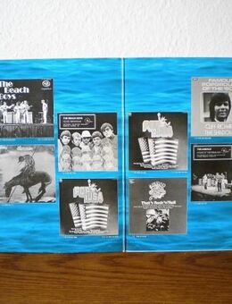 Surfin USA-Vinyl-DLP,Mfp,Rar ! - Linnich
