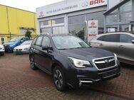 Subaru Forester Exclusive*Allrad*Automatik*Panorama*AHK 2.000KG - Flensburg