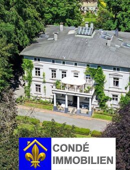 Villa im klassizistischen Stil mit großer Parkanlage zu verkaufen. Mehrfamilienhaus, Villa im Park - Radevormwald (Stadt auf der Höhe)