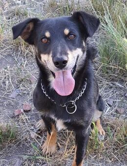 Marci sucht sein Glück - Weilheim (Oberbayern)