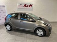 Kia Picanto 1,0 ED7 AC Sitz/Lenkheiz Bluet. Allwett. - Halberstadt