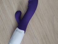 🤥sextoy ausgedient 💋💔 - Fehmarn