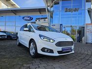 Ford S-Max, 2.0 Eco Boost Titanium, Jahr 2018 - Alzey