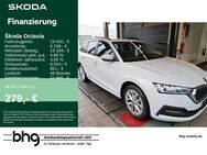 Skoda Octavia, 1.4 TSI Combi Ambition Octavia Combi iV, Jahr 2022 - Freudenstadt