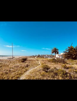 Suche eine hübsche Latina oder ähnl. Aussehen, mit sportlichem Body - Düsseldorf Zentrum