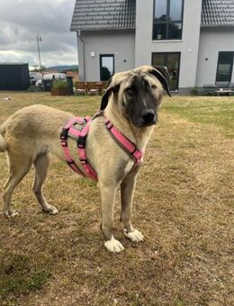 Lebensfrohe Lia - Beckingen