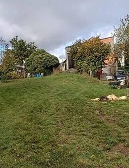 Bauernhaus mit eigener Quelle und mehreren Stallungen - Königsberg (Bayern)