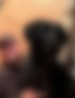 Arc*** - Horb (Neckar)