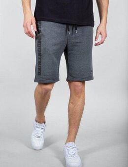 Alpha Industries Sweatshorts Big Letters Short kurze Jogginghose