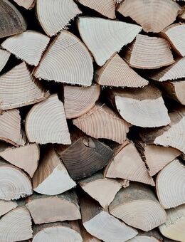Brennholz Mischholz 25cm - Neutraubling