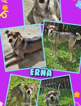 Tolle Erna wartet aufs happyend! - Nürnberg