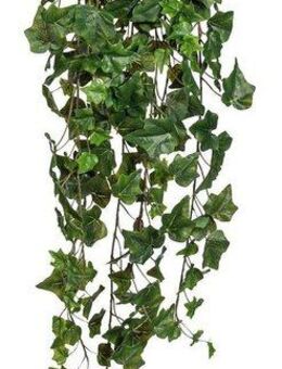 Kunstranke Englischer Efeuhänger, Creativ green, Höhe 100 cm