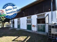 DIETZ: Platz Für Ross und Reiter! Wohnhaus + Gewerbegebäude mit 6 Pferdestallungen! In Feldrandnähe! - Babenhausen (Hessen)