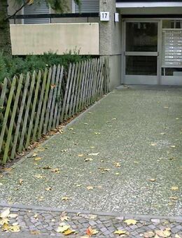 Grünbelag entfernen - rutschige Beläge, Wege, Terrassen, Eingänge, Holz u.v.m. - Peißenberg