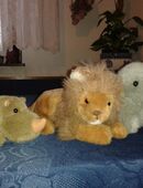 Nashorn, Löwe und Elefant in 34131