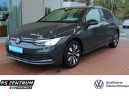 VW Golf, 1.5 TSI VIII Move, Jahr 2024 - Versmold