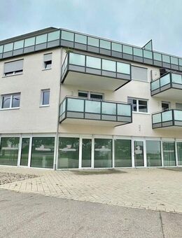 Penthouse-Wohnung, barrierefrei mit rundum Dachterrasse in Memmingen - Memmingen
