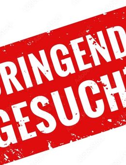 Russisch Blau Katzenbaby - Möhrendorf