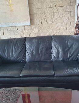 Natuzzi Ledercouches schwarz - Holzheim (Landkreis Neu-Ulm)