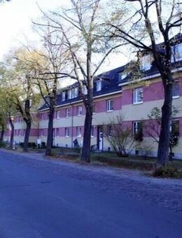 Charmante Dachgeschosswohnung mit rustikalem Flair - Schönebeck (Elbe)
