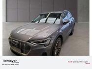Audi e-tron, 50 Q LM21 TOUR, Jahr 2020 - Plettenberg