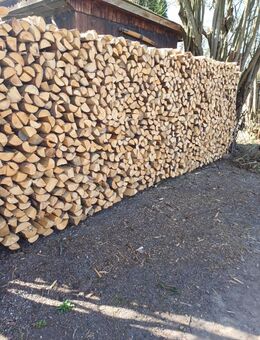 Brennholz Ofenholz (Mischholz) Ofenfertig trocken - Bad Abbach