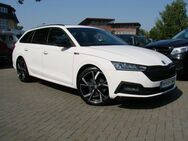 Skoda Octavia 2.0TDI Sportline 4x4 Columbus Pano ACC Canton - Falkensee