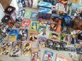 Anime Manga Sammlung in 36251