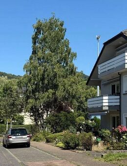 Großzügig und in bester Wohnlage! Helle Komfortwohnung mit 2 Terrassen. - Bad Honnef