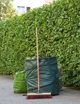 Hallo liebe Leute, suche klein Aufträge für Garten und Gebäudereinigung in Rostock und Umgebung. - Broderstorf