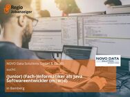 (Junior) (Fach-)Informatiker als Java Softwareentwickler (m|w|d) - Bamberg