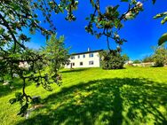 Tierisch viel Platz! - Wenzenbach