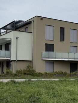 Haus im Haus - große Familienwohnung mit Balkon und Dachterrasse, Einbauküche und zwei Bäder - Kraichtal