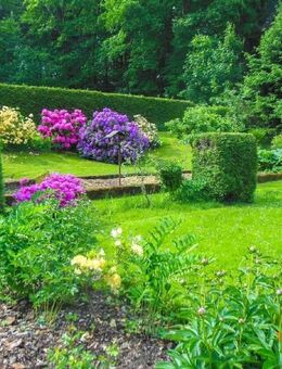 Aus zwei mach eins - am Schlosspark! - Großharthau