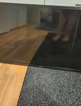 Samsung Fernseher 32 Zoll mit Wandhalterung - Zwickau