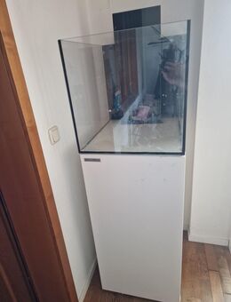 Meerwasser aquarium zu verkaufen - Heinsberg