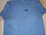 Pullover Hoody Sweatshirt Gr.M blau - Bad Neustadt (Saale)