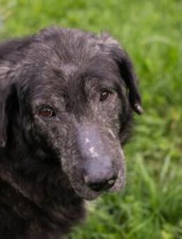 ORION - in Ruhe draußen unterwegs sein - Overath