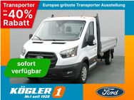 Ford Transit, Pritsche EK 350 L3 Trend 130PS, Jahr 2024 - Bad Nauheim