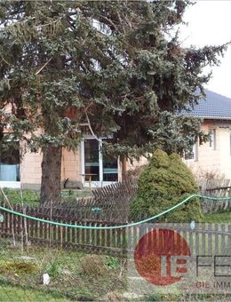 Einfamilienhaus zum Fertigstellen mit großem Garten und zwei Nebengelassen - Eisleben (Lutherstadt)