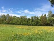 BAUEN SIE SICH AUF DIESEM SONNIGEN GRUNDSTÜCK IHR FAMILIENZUHAUSE FÜR EIN GLÜCKLICHES LEBEN! TEL. 01714863595 - Hartenstein (Sachsen)