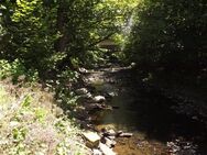 VERÄUSSERT! uriges/stilvolles kleines 1-FH/Ferienhaus in idyllischer und absolut ruhiger Lage, fast direkt am Hevefluss - Möhnesee